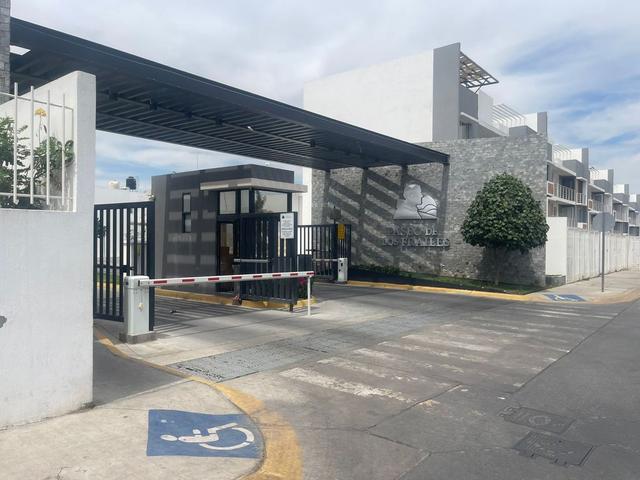 Foto de la galeria de imagenes