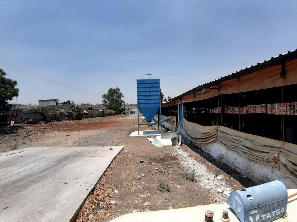 Foto de la galeria de imagenes