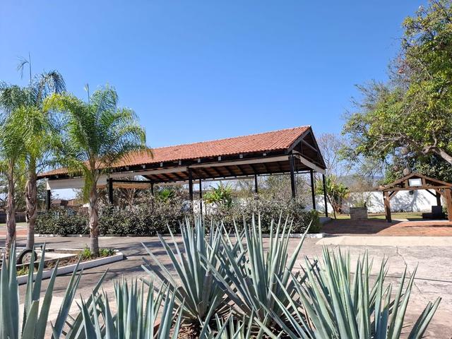 Foto de la galeria de imagenes