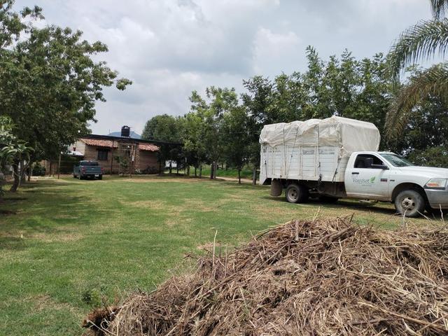 Foto de la galeria de imagenes