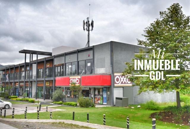Foto de la galeria de imagenes