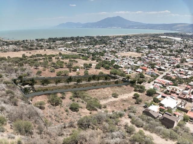 Foto de la galeria de imagenes
