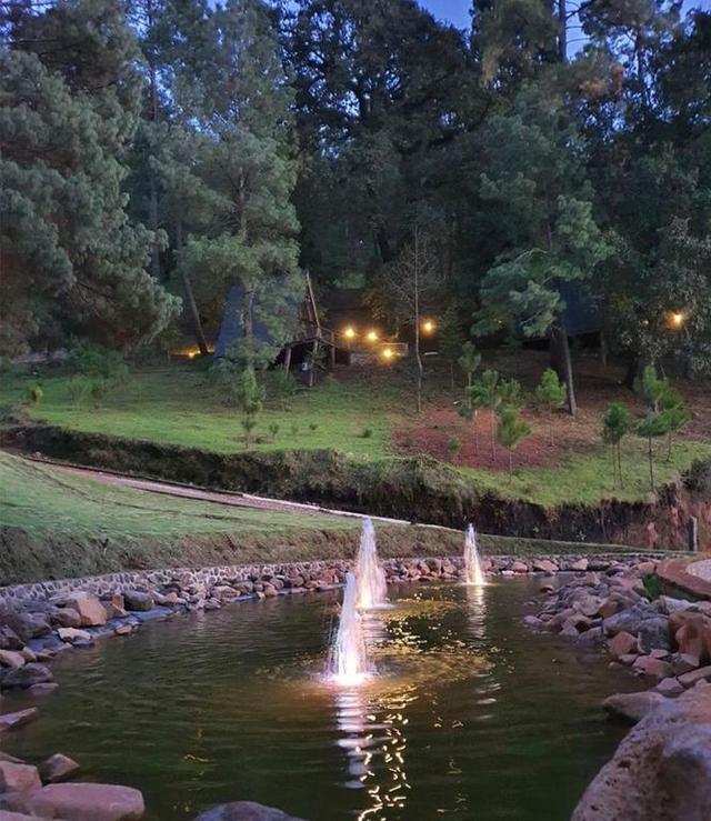 Foto de la galeria de imagenes