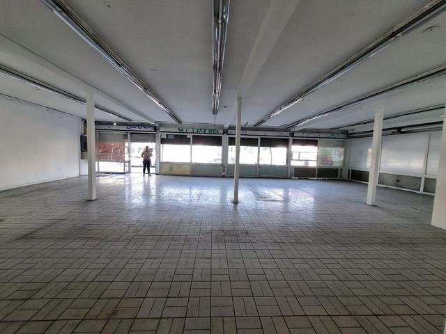 Foto de la galeria de imagenes