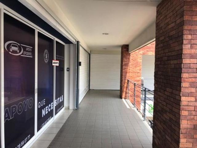Foto de la galeria de imagenes
