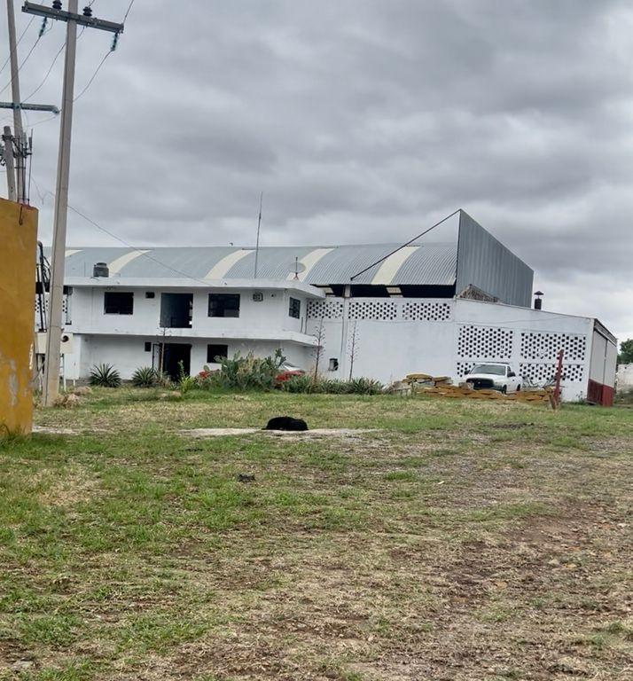 Foto de la galeria de imagenes