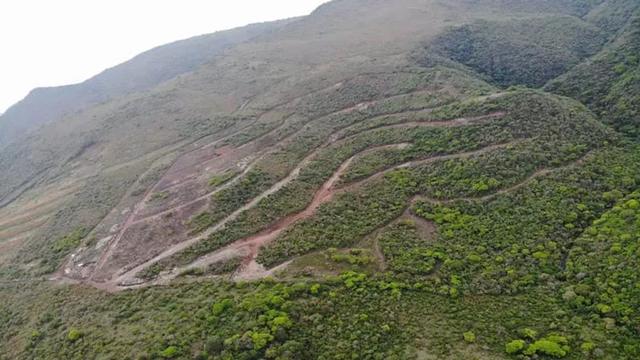 Foto de la galeria de imagenes