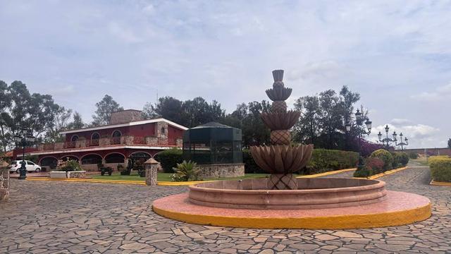 Foto de la galeria de imagenes