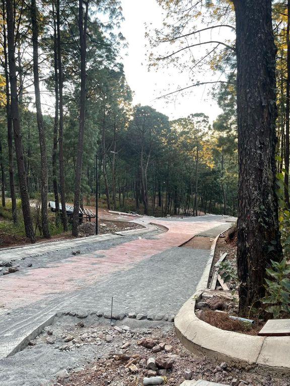 Foto de la galeria de imagenes