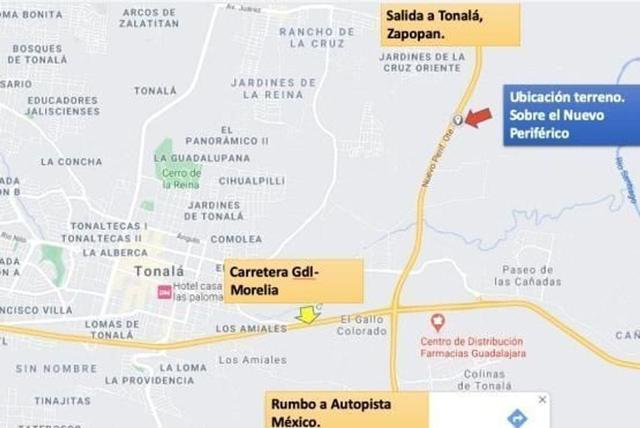 Foto de la galeria de imagenes