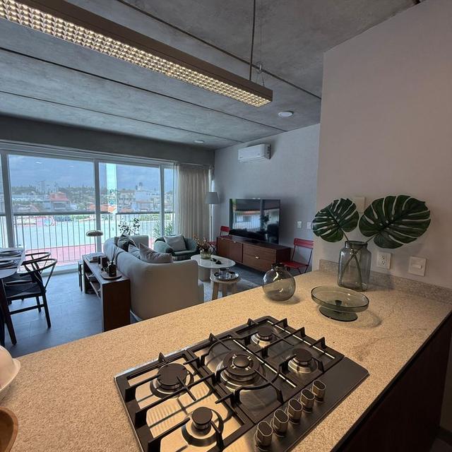 Foto de la galeria de imagenes