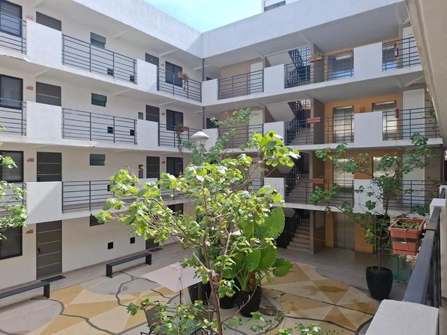Foto de la galeria de imagenes