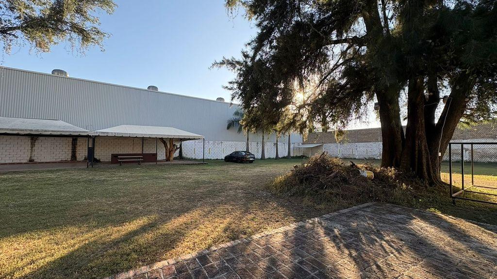 Foto de la galeria de imagenes