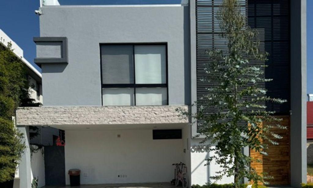 Foto de la galeria de imagenes