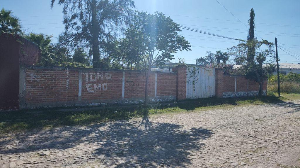 Foto de la galeria de imagenes