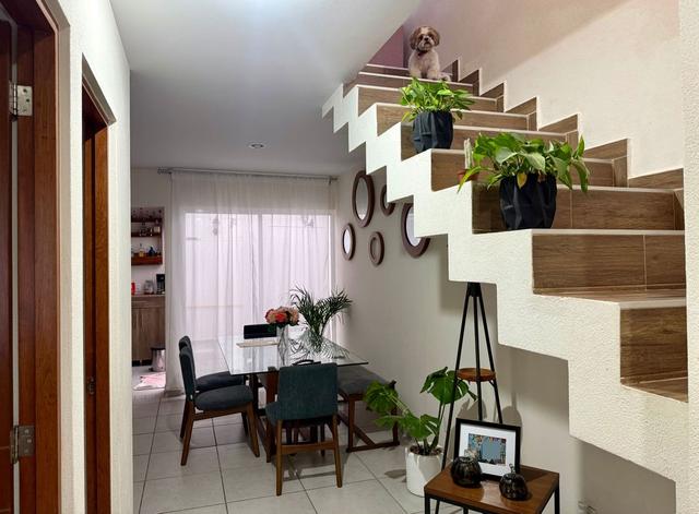 Foto de la galeria de imagenes