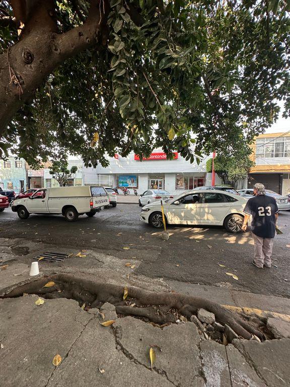 Foto de la galeria de imagenes
