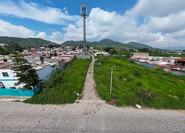Foto de la galeria de imagenes