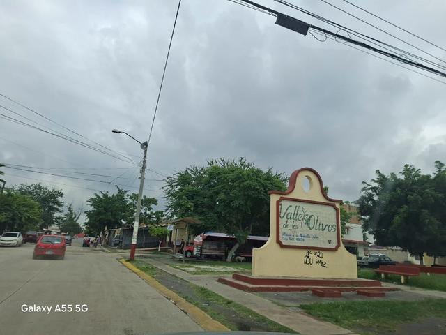 Foto de la galeria de imagenes