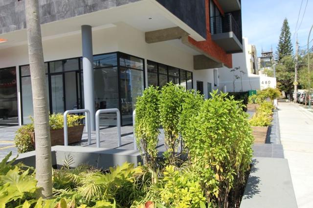 Foto de la galeria de imagenes