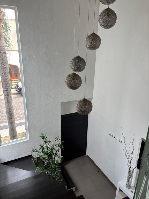 Foto de la galeria de imagenes