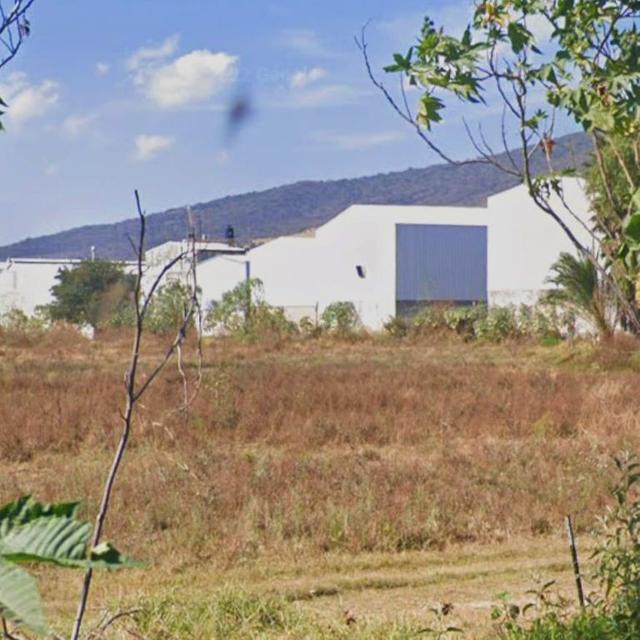 Foto de la galeria de imagenes